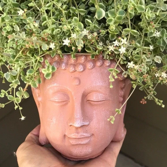 Set of 2 New Buddha Planters - Picture 5 of 14